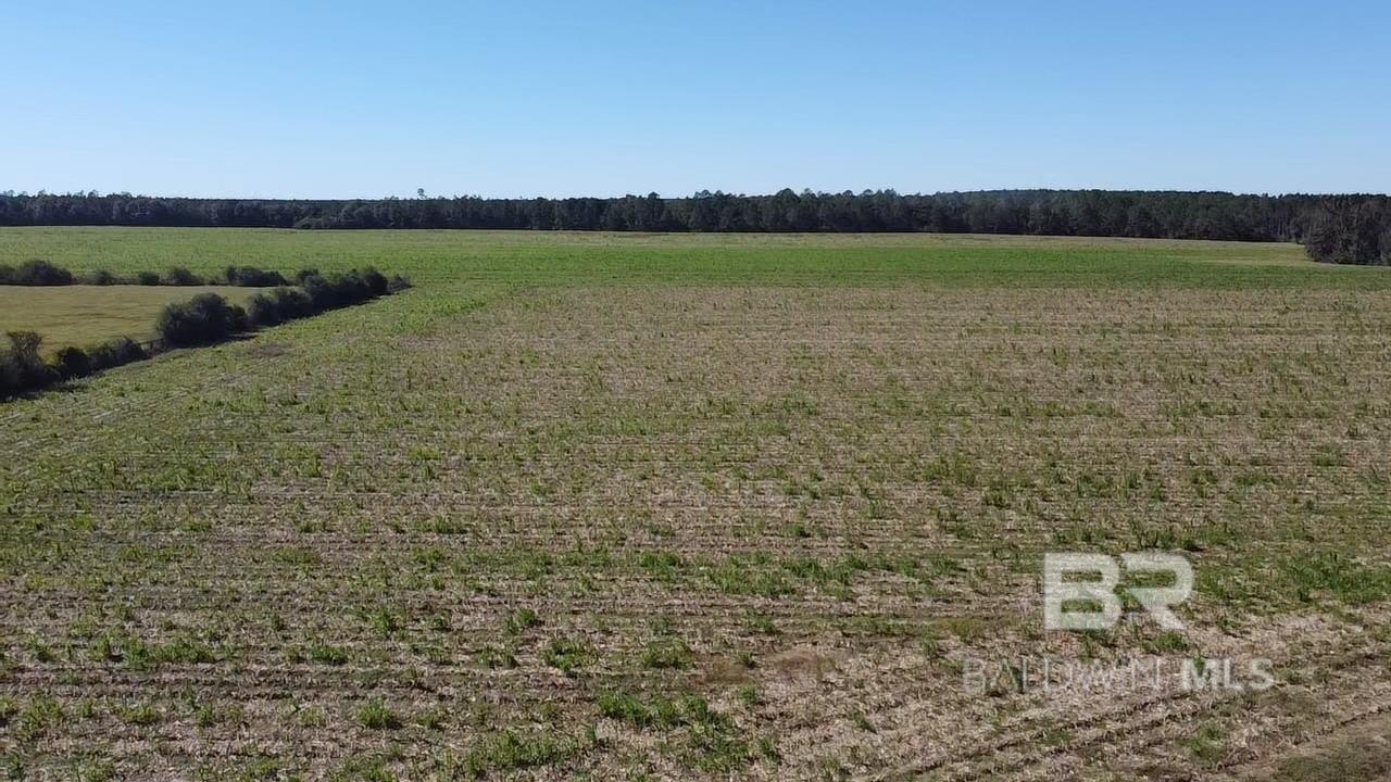 Versatile Acreage in Walnut Hill