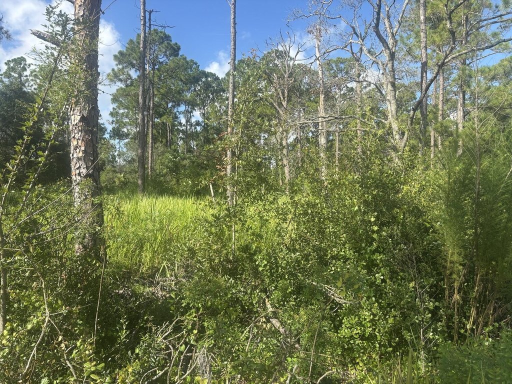 Picture 3