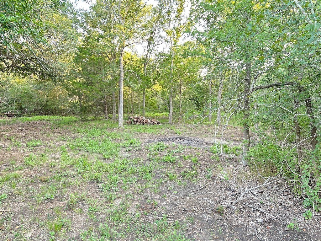 Picture 8