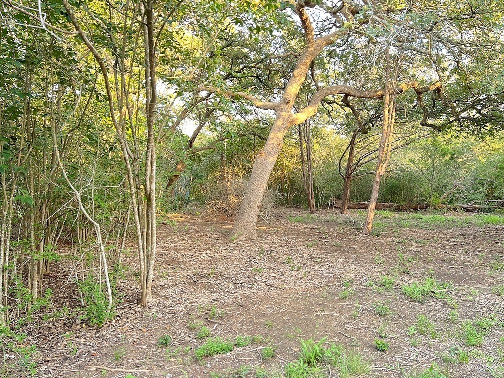 Picture 7