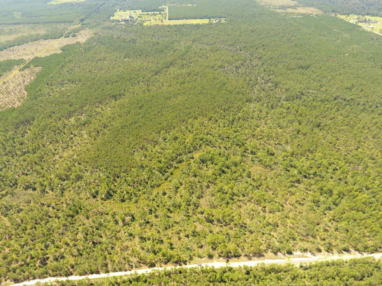 Reeves, LA Vacant Land