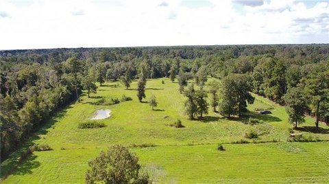 Vacant Land, Denham Springs, LA