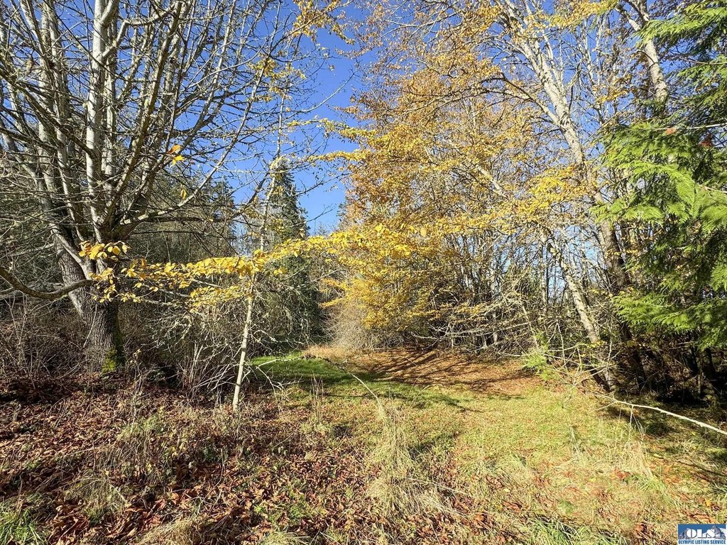 Picture 38