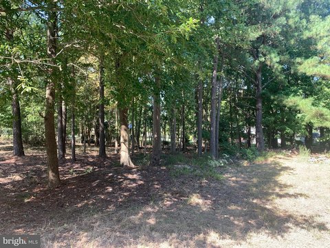 Rock Hall Land For Sale