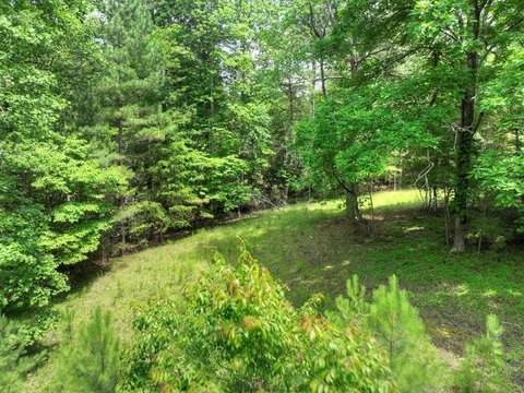 Vacant Lot - Blairsville, GA