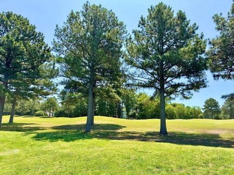Golf Course Homesite in Cape Charles