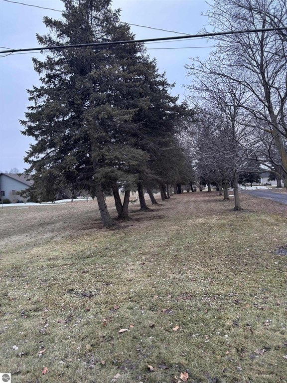 Picture 5