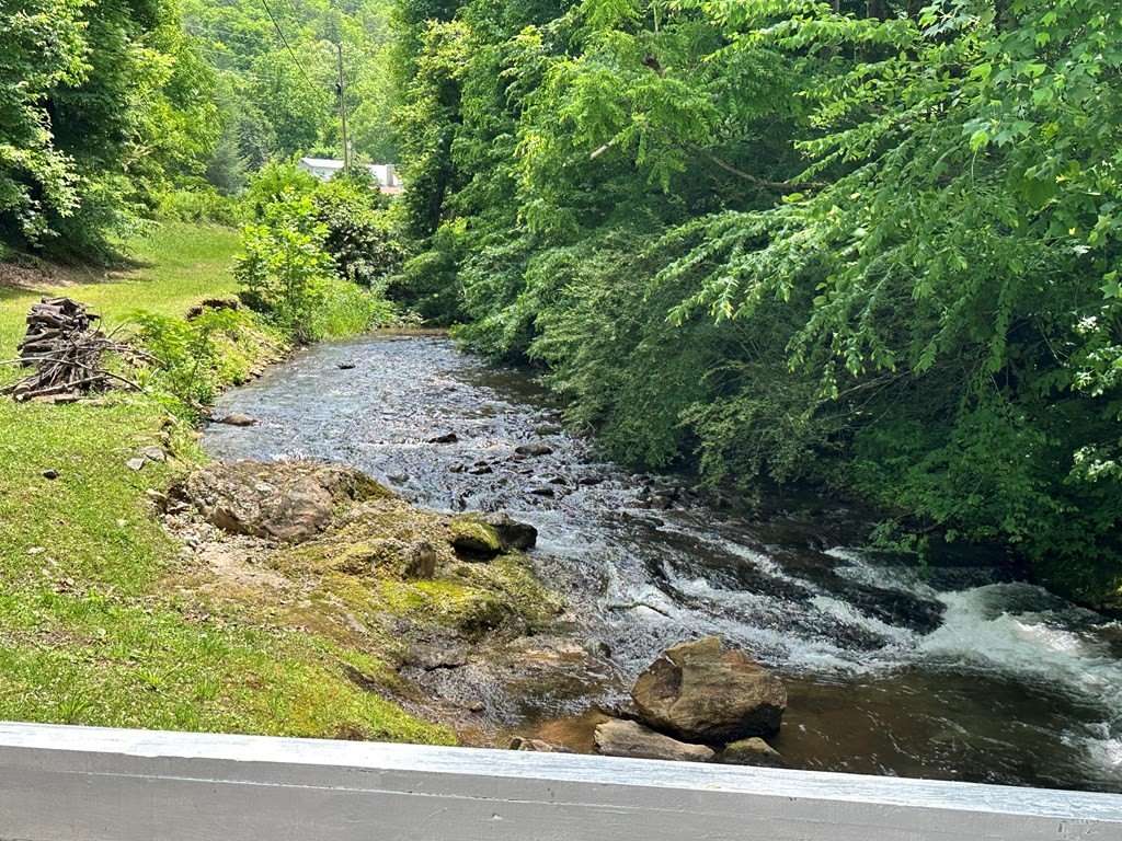 Picture 11