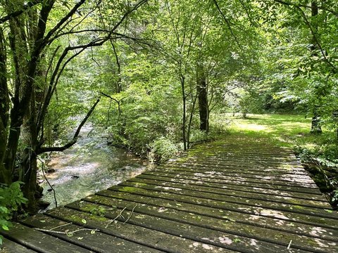Vacant Lot - Hayesville, NC