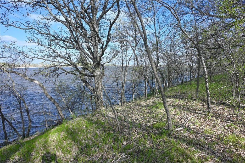 Picture 7