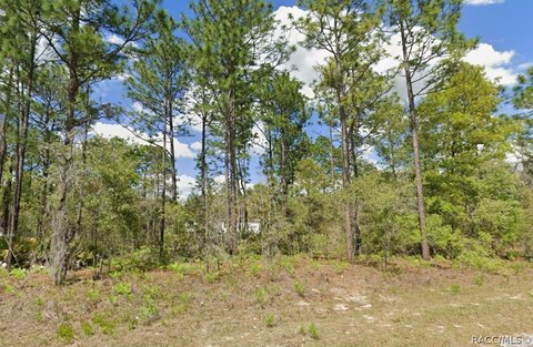 Land, Dunnellon, FL