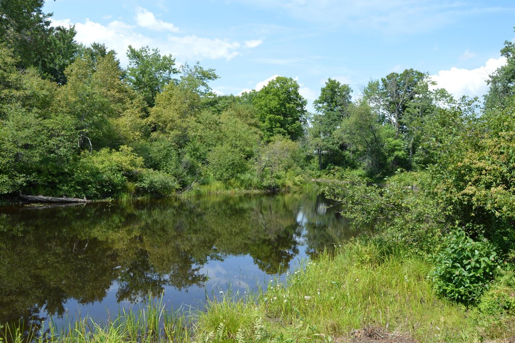 Picture 8