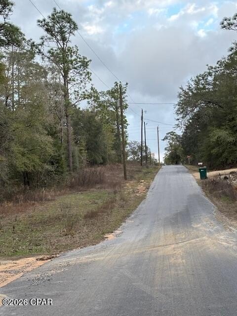 Picture 11