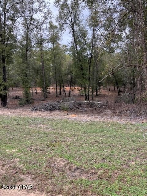 Land For Sale, Chipley, FL