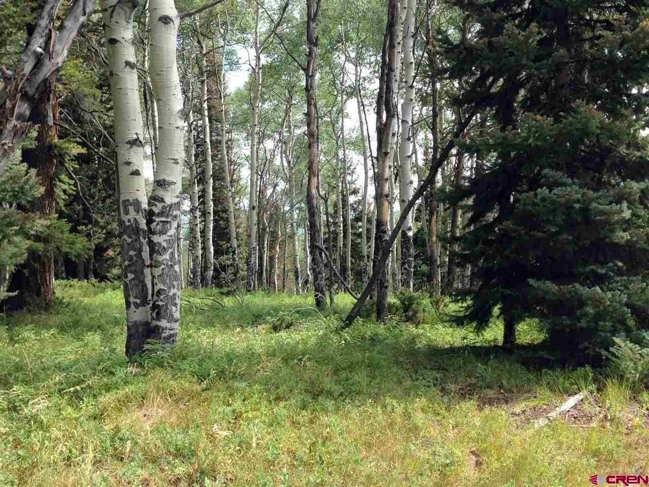 Wooded Lot in Arrowhead Ranch