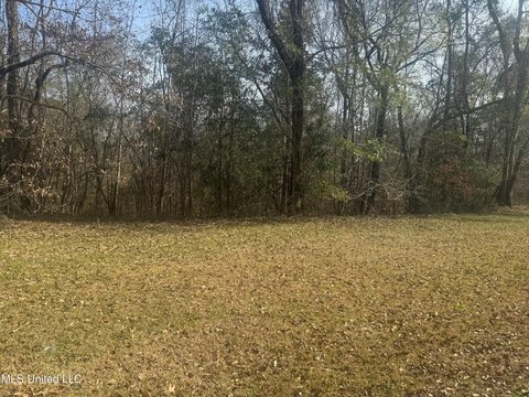 Residential Land in Natchez, MS