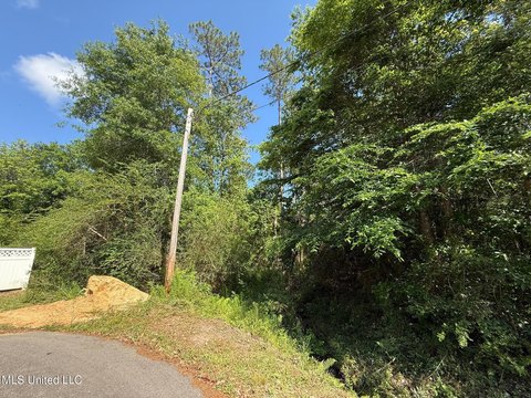 Residential Land in Diamondhead, MS
