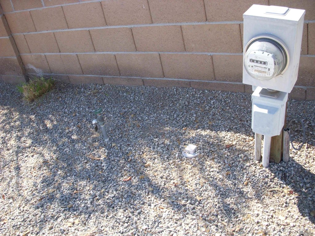 Picture 5