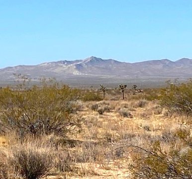 Helendale Land/Lot For Sale