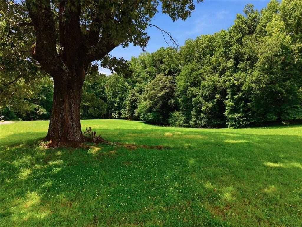 Picture 22