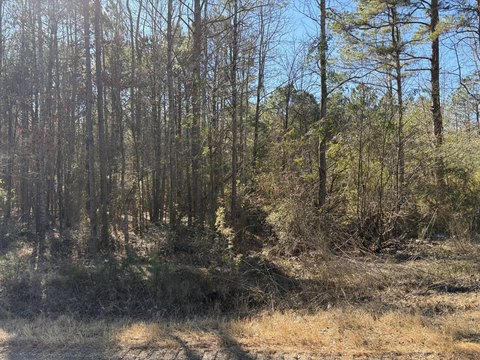 76 Acres Vacant Land, Taylor