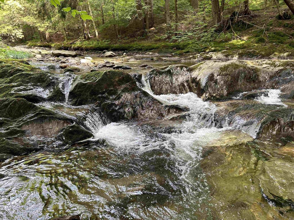 Picture 17