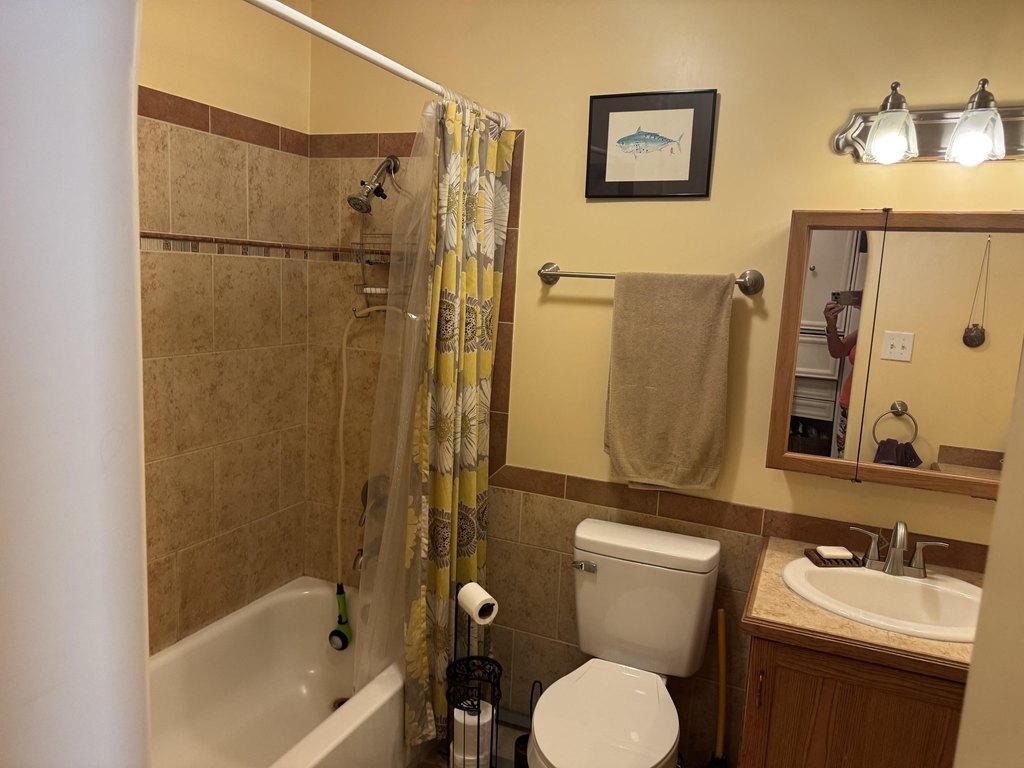 Picture 19