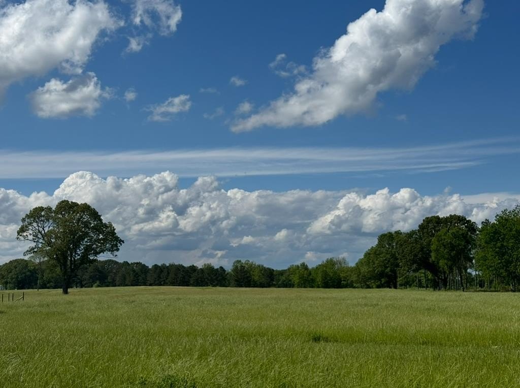 Picture 48