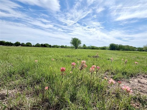 Whitney, TX Improved Land