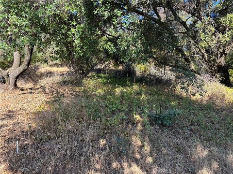 Land/Lot in Clearlake Oaks