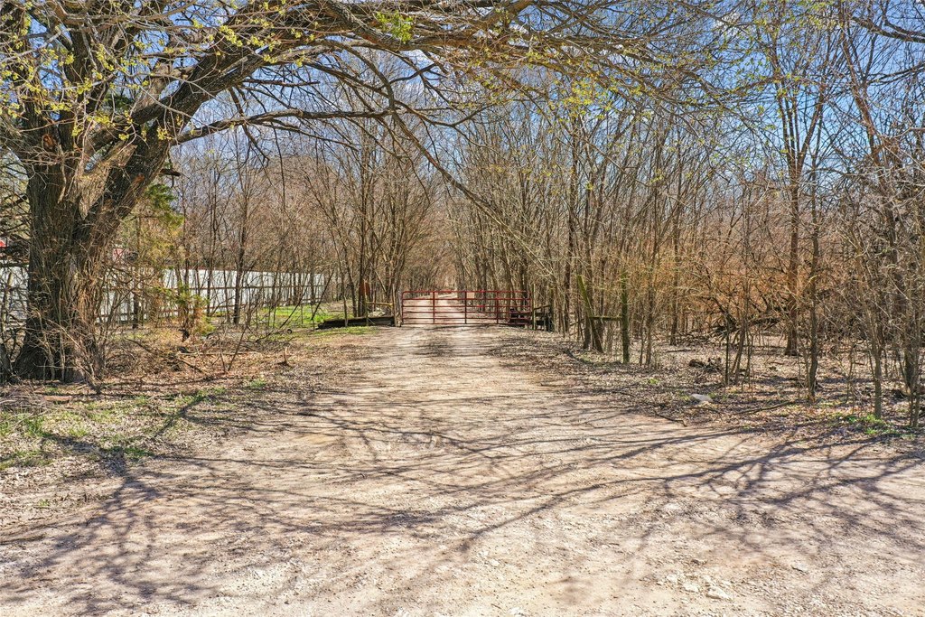 Picture 4