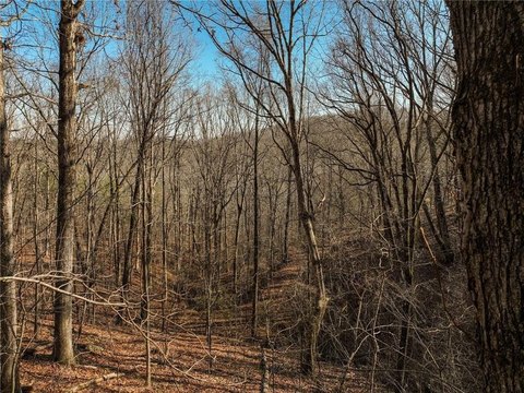 Land, Murrayville, GA