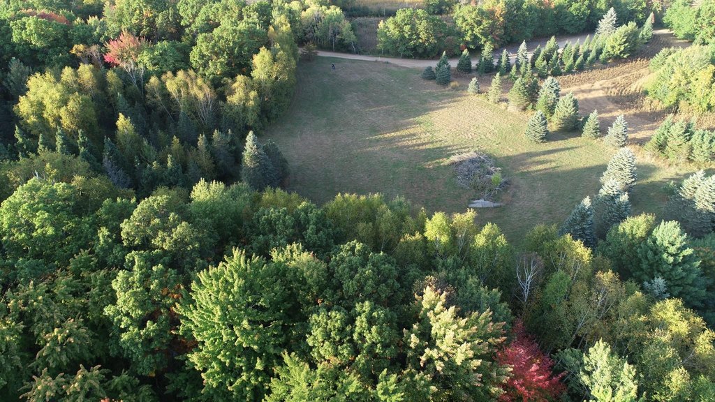 Picture 8