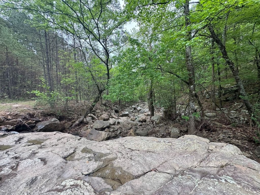 Picture 25