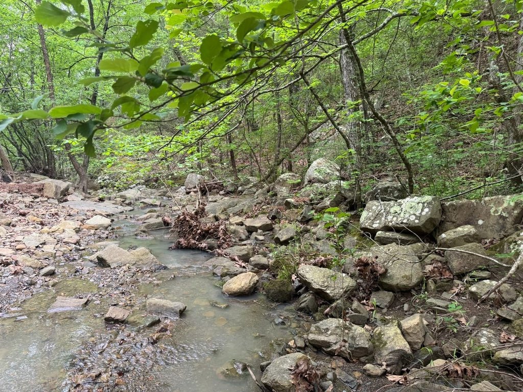 Picture 24
