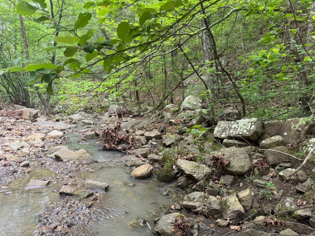 Picture 23
