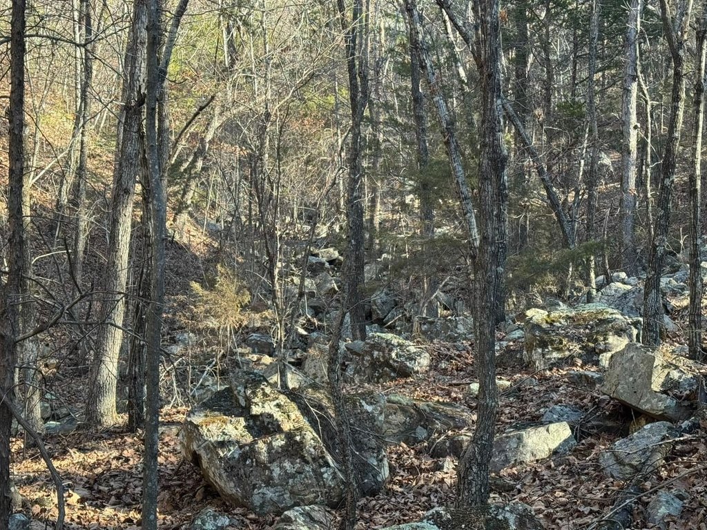 Picture 18