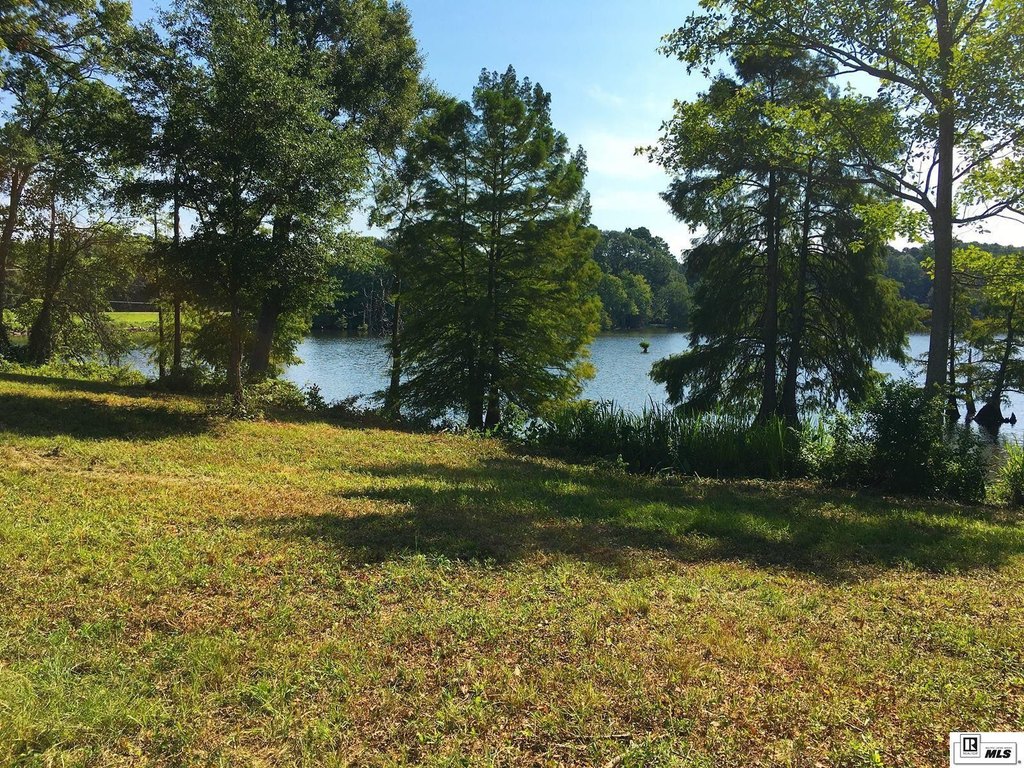 Picture 30