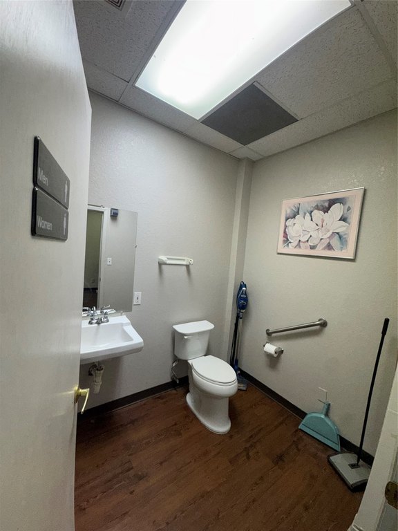 Picture 12