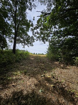 Land, Marshfield, MO
