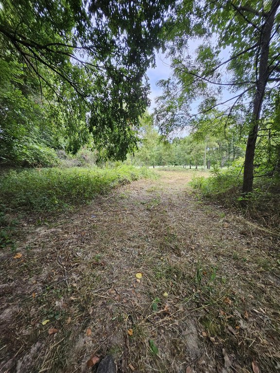 Picture 13