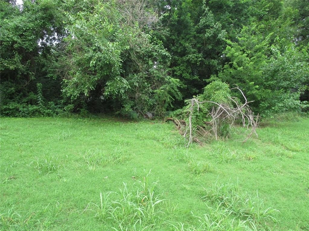 Picture 5