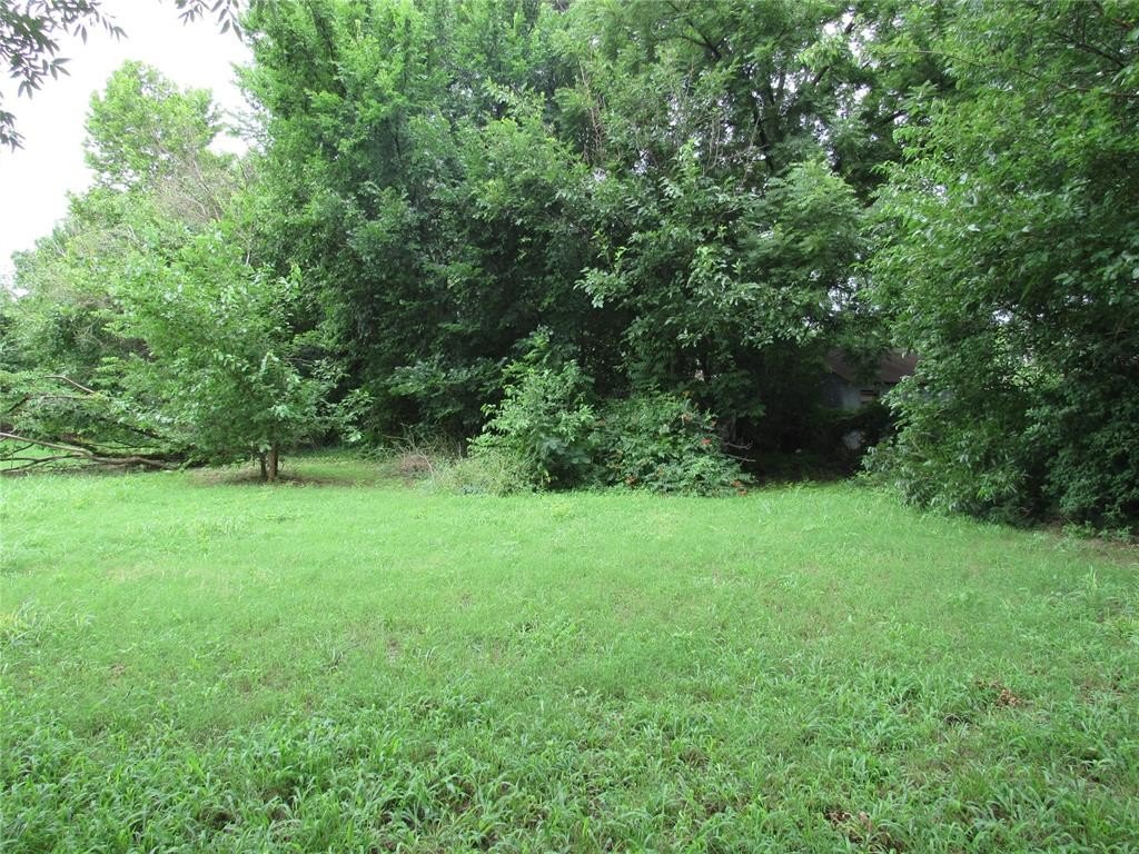Picture 2