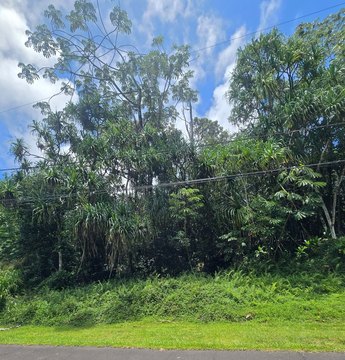 LAND - Pahoa, HI