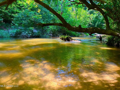 41 Acres Hunting Land