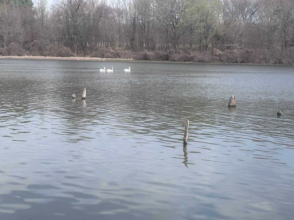 Picture 24