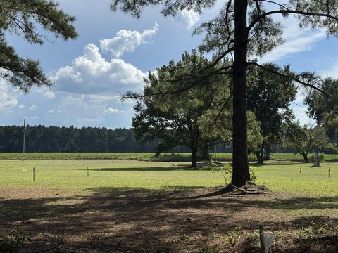 Land, Brunson, SC