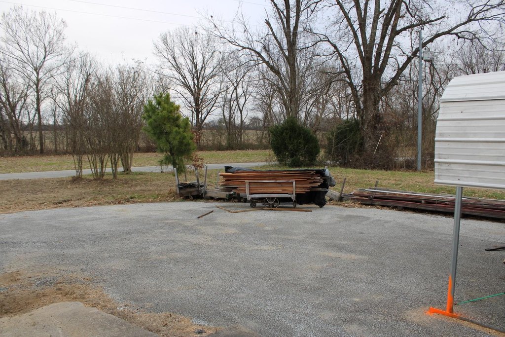 Picture 5