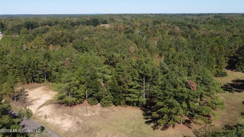 Land, Potts Camp, MS