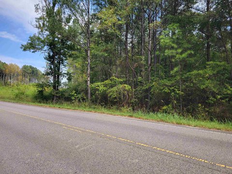 Waterfront Land with Lake Access